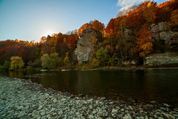 Sonbaharda şelalenin manzarası. Sonbahar renklerinde şelale. Sonbahar manzarasında dağ nehri. Ukrayna, Stryj Nehri.