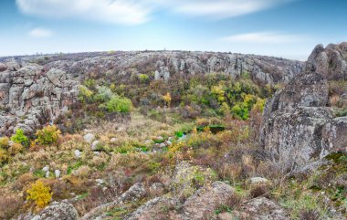 Resimli Ukrayna 'daki küçük bir nehrin üzerinde yeşil bitki örtüsüyle kaplı çok sayıda taş minerali ve onun güzel doğası.
