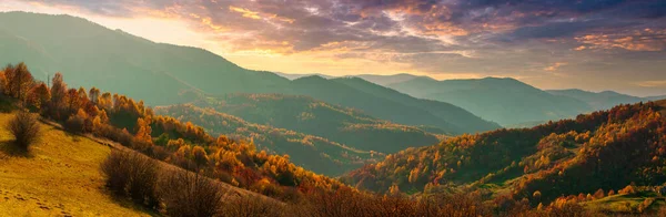Wonderful view of the mountains that glow under the sunlight. Dramatic morning scene. Carpathian national park, Synevyr pass, Ukraine, Europe. Artistic picture. World of beauty. Warm toning effect. — Stockfoto