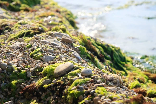 Vackert sjölandskap. Rocky West kostnad för Krim, Europa, Ukraina — Stockfoto