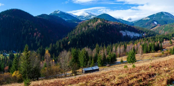 Wunderschöne Landschaft mit Bergwald und Baumwiese in den Karpaten, Ukraine. — Stockfoto