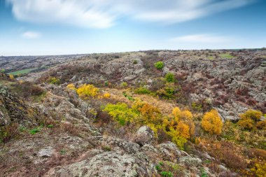 Resimli Ukrayna 'daki küçük bir nehrin üzerinde yeşil bitki örtüsüyle kaplı çok sayıda taş minerali ve onun güzel doğası.