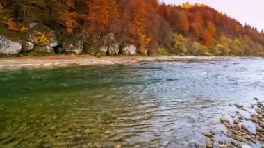 Dağ nehri akan suları taşır. Sonbahar dağ deresi. Doğal akış. Ukrayna 'daki Stry Dağı' nda turizm ve seyahat. Sonbaharın muhteşem doğal manzarası. Alp nehirlerinin akıntıları.