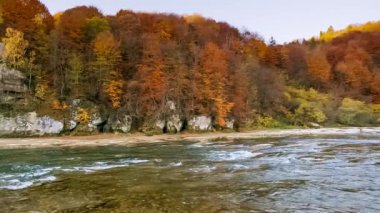 Dağ nehri akan suları taşır. Sonbahar dağ deresi. Doğal akış. Ukrayna 'daki Stry Dağı' nda turizm ve seyahat. Sonbaharın muhteşem doğal manzarası. Alp nehirlerinin akıntıları.