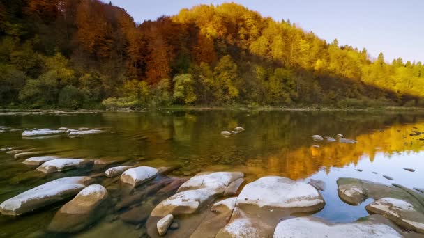 山の川の急流水を実行している。秋の渓流。自然の流れだ。観光や山の川の国、ウクライナの旅行。秋の素晴らしい自然の光景。高山川の急流. — ストック動画