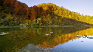 Dağ nehri akan suları taşır. Sonbahar dağ deresi. Doğal akış. Ukrayna 'daki Stry Dağı' nda turizm ve seyahat. Sonbaharın muhteşem doğal manzarası. Alp nehirlerinin akıntıları.