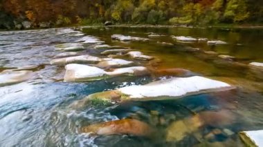 Dağ nehri akan suları taşır. Sonbahar dağ deresi. Doğal akış. Ukrayna 'daki Stry Dağı' nda turizm ve seyahat. Sonbaharın muhteşem doğal manzarası. Alp nehirlerinin akıntıları.