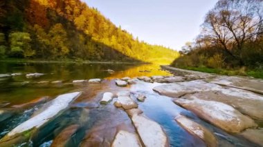 Dağ nehri akan suları taşır. Sonbahar dağ deresi. Doğal akış. Ukrayna 'daki Stry Dağı' nda turizm ve seyahat. Sonbaharın muhteşem doğal manzarası. Alp nehirlerinin akıntıları.
