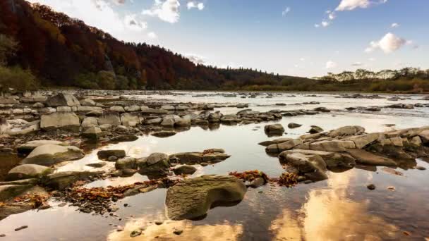 Blick auf den Fluss, der vom Gebirgswasserfall fließt. Waldfluss in den Bergen. Bergwald-Flussblick. Schöne Landschaft. Sturz. Herbststimmung. — Stockvideo