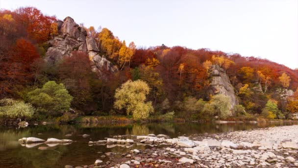 Вид на річку, що тече з гірського водоспаду. Лісова річка в горах. Вид на гірський ліс. Прекрасний пейзаж. Падіння. Осінній настрій . — стокове відео