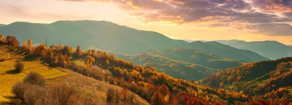 Vista maravilhosa das montanhas que brilham sob a luz do sol. Uma cena dramática da manhã. Parque nacional dos Cárpatos, Synevyr pass, Ucrânia, Europa. Imagem artística. Mundo de beleza. Efeito de tonificação quente. — Fotografia de Stock