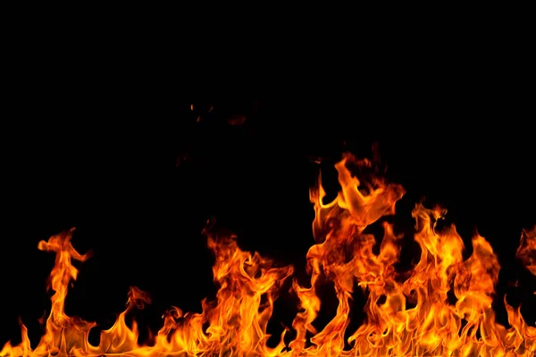 Köye yakın ağaçlık alanda çiçekler açıyor. Çiçeklere yakın çekim.