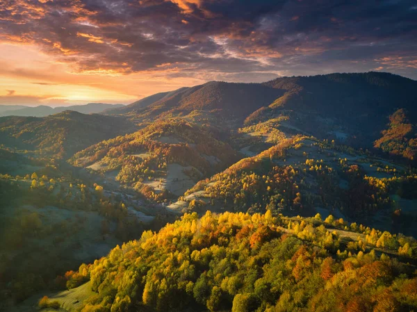 Ukraine. Sunrise shines in the Carpathians, colored fog spreads over the valleys and lowlands of the mountain range, golden prairies are very dazzlingly beautiful. — Stock Photo, Image