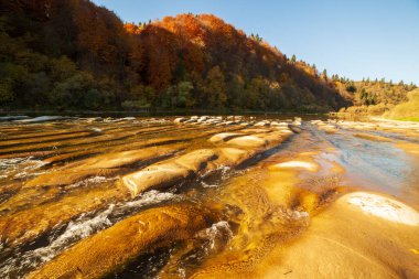 Sonbaharda şelalenin manzarası. Sonbahar renklerinde şelale. Sonbahar manzarasında dağ nehri. Ukrayna, Stryj Nehri.