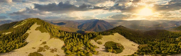 Ukraine. Sunrise shines in the Carpathians, colored fog spreads over the valleys and lowlands of the mountain range, golden prairies are very dazzlingly beautiful. — стокове фото