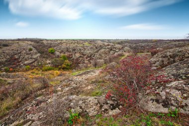 Resimli Ukrayna 'daki küçük bir nehrin üzerinde yeşil bitki örtüsüyle kaplı çok sayıda taş minerali ve onun güzel doğası.