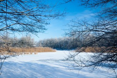 Fotoğrafta karla kaplı nehir kışın donmadı. Nehir kışın akar. Ağaçların dallarında kar. Nehirde kar yansıması. Nehrin kıyısında muazzam kar yığınları uzanır..