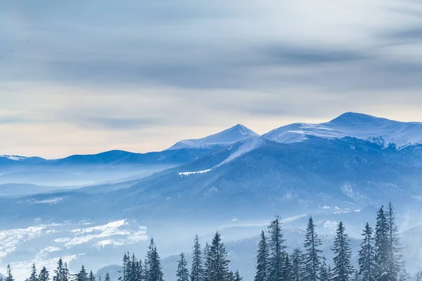 Winter Forest clouds Landscape aerial view trees background Travel serene scenery