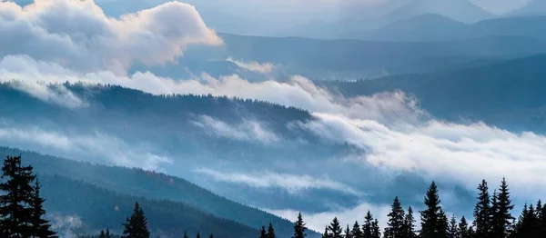 Őszi táj köddel a hegyekben. Fenyőerdő a hegyekben. Kárpátok, Ukrajna, Európa — Stock Fotó
