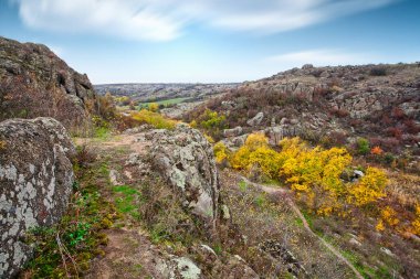 Resimli Ukrayna 'da küçük bir nehrin üzerinde bulunan yeşil bitki örtüsüyle kaplı çok sayıda taş minerali ve onun güzel doğası. Yüksek kalite fotoğraf