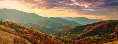 Güneşin altında parlayan dağların muhteşem manzarası. Dramatik sabah sahnesi. Carpathian Ulusal Parkı, Synevyr Geçidi, Ukrayna, Avrupa. Sanatsal resim. Güzellik dünyası. Sıcak tonlama efekti.