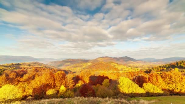 Jesienna dolina zachodu słońca. Zbliżenie zachodzącego słońca gęstego, złotego lasu osikowego w dolinie u podnóża wysokich szczytów Gór Karpackich, w wietrzny jesienny dzień. Ukraina. — Wideo stockowe
