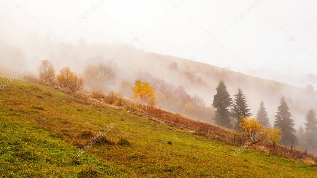 Beautiful summer Carpathians, in the early morning, shortly before sunrise. Beautiful sunrise over a mountain misty valley. Trees on a grassland hill in the foreground.