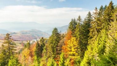 Kozalaklı ormanlarla kaplı bir dağ kayasının fantastik hava görüntüleri. Kuş bakışı görüş. Carpathian Ulusal Parkı, Ukrayna, Avrupa. Sinematik drone çekimi. UHD 4k video 'da çekildi. Güzel toprak.