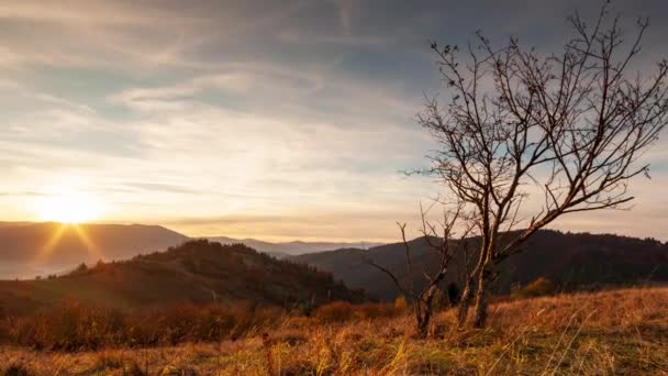 山の裏側に沈む太陽と背景に松の木の時間経過 — ストック動画