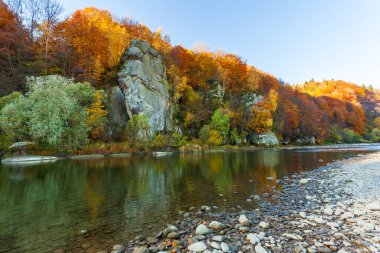 Sonbaharda şelalenin manzarası. Sonbahar renklerinde şelale. Sonbahar manzarasında dağ nehri. Ukrayna, Stryj Nehri.