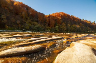 Sonbaharda şelalenin manzarası. Sonbahar renklerinde şelale. Sonbahar manzarasında dağ nehri. Ukrayna, Stryj Nehri.