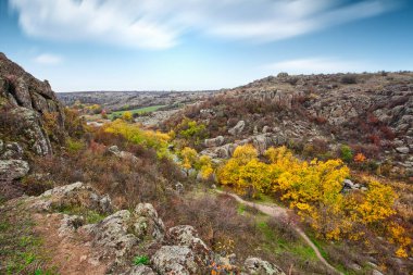 Resimli Ukrayna 'daki küçük bir nehrin üzerinde yeşil bitki örtüsüyle kaplı çok sayıda taş minerali ve onun güzel doğası.