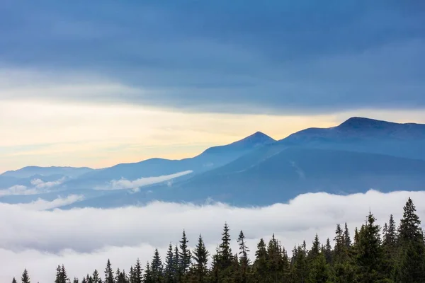Dağlarda sis olan sonbahar manzarası. Tepelerdeki firavun ormanı. Karpatlar, Ukrayna, Avrupa