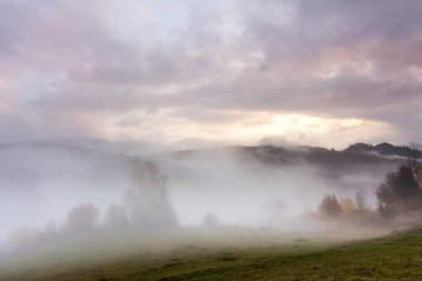 Dağlarda sis olan sonbahar manzarası. Tepelerdeki firavun ormanı. Karpatlar, Ukrayna, Avrupa