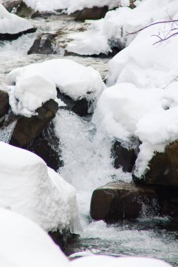 Küçük, aktif bir şelale. Temiz dağ deresi, karlı kış manzarası, vahşi yaşam geçmişi