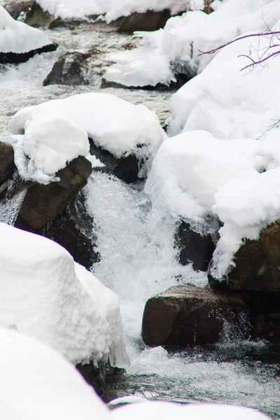 Küçük, aktif bir şelale. Temiz dağ deresi, karlı kış manzarası, vahşi yaşam geçmişi