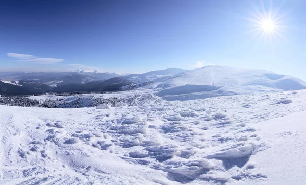 Karpaterna i vinter. Vinterlandskap i bergen. — Stockfoto