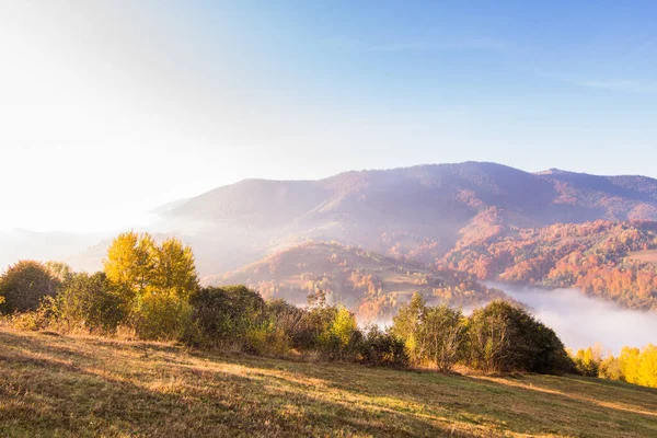 Jesienny krajobraz z mgłą w górach. Fir Forest na wzgórzach. Karpaty, Ukraina, Europa — Zdjęcie stockowe