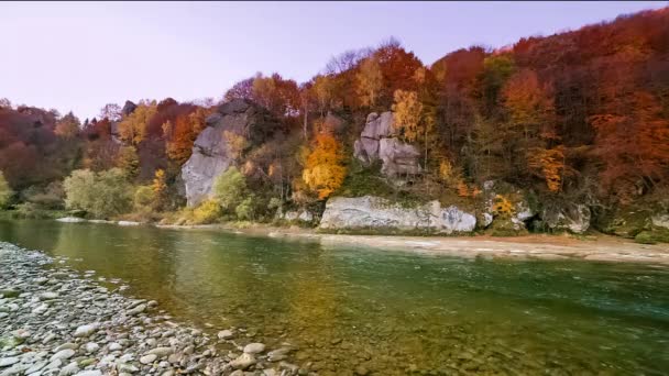 Río de montaña rápidos de agua corriente. Otoño arroyo de montaña. corriente natural. Turismo y viajes en el río Stry montaña, Ucrania. Maravilloso espectáculo natural del otoño. Rápidos de ríos alpinos. — Vídeos de Stock