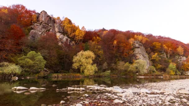 Vista del río que fluye desde la cascada de la montaña. Río del bosque en las montañas. Bosque de montaña vista río. Hermoso paisaje. Caída. Humor de otoño. — Vídeo de stock