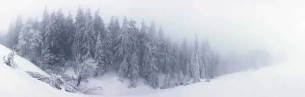Karpaty v zimě. Zimní krajina v horách. — Stock fotografie