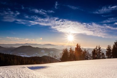 Dağ Kış Manzarası. Çam Ağacı Ormanı Kış Manzarasında Karla kaplı