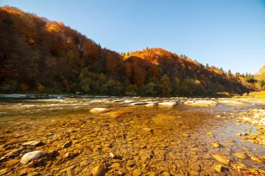 Sonbaharda şelalenin manzarası. Sonbahar renklerinde şelale. Sonbahar manzarasında dağ nehri. Ukrayna, Stryj Nehri.