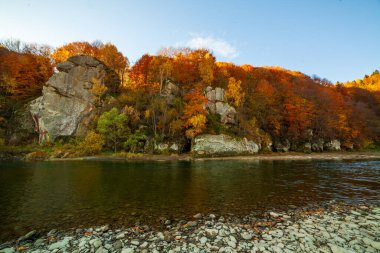Sonbaharda şelalenin manzarası. Sonbahar renklerinde şelale. Sonbahar manzarasında dağ nehri. Ukrayna, Stryj Nehri.