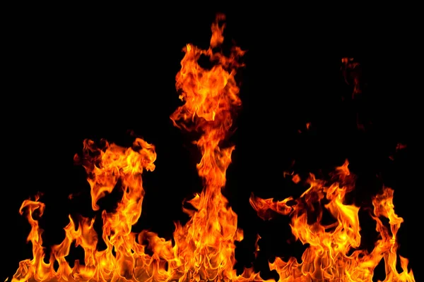 Köye yakın ağaçlık alanda çiçekler açıyor. Çiçeklere yakın çekim.