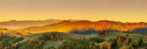 Wonderful view of the mountains that glow under the sunlight. Dramatic morning scene. Carpathian national park, Synevyr pass, Ukraine, Europe. Artistic picture. World of beauty. Warm toning effect. — Stockfoto