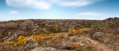 Resimli Ukrayna 'daki küçük bir nehrin üzerinde yeşil bitki örtüsüyle kaplı çok sayıda taş minerali ve onun güzel doğası.