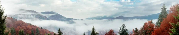 Dağlarda sis olan sonbahar manzarası. Tepelerdeki firavun ormanı. Karpatlar, Ukrayna, Avrupa