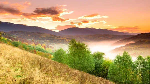 Paisagem de outono com nevoeiro nas montanhas. Floresta de abetos nas colinas. Cárpatos, Ucrânia, Europa — Fotografia de Stock