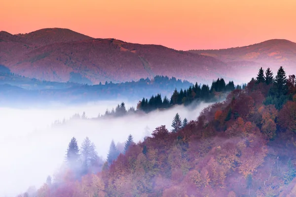 Paesaggio autunnale con nebbia in montagna. Foresta di abeti sulle colline. Carpazi, Ucraina, Europa — Foto Stock